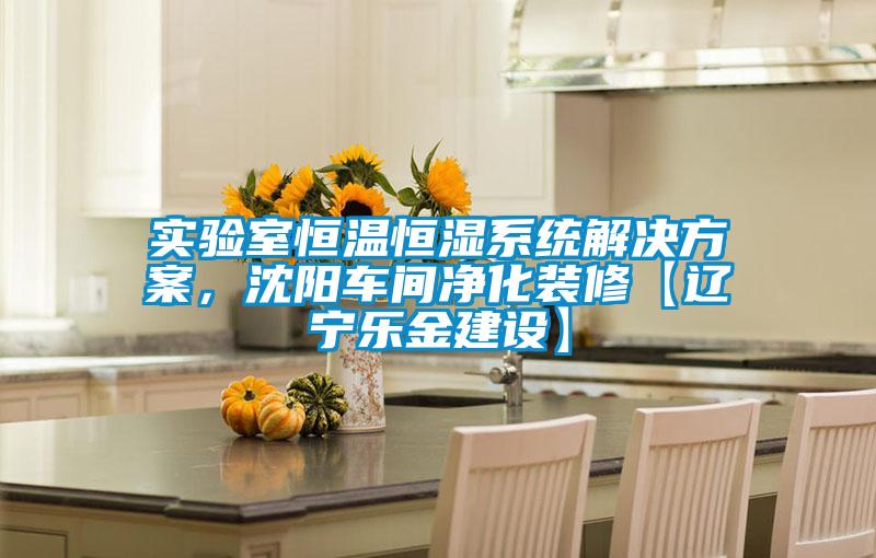 实验室恒温恒湿系统粉色视频成人，沈阳车间净化装修【辽宁乐金建设】