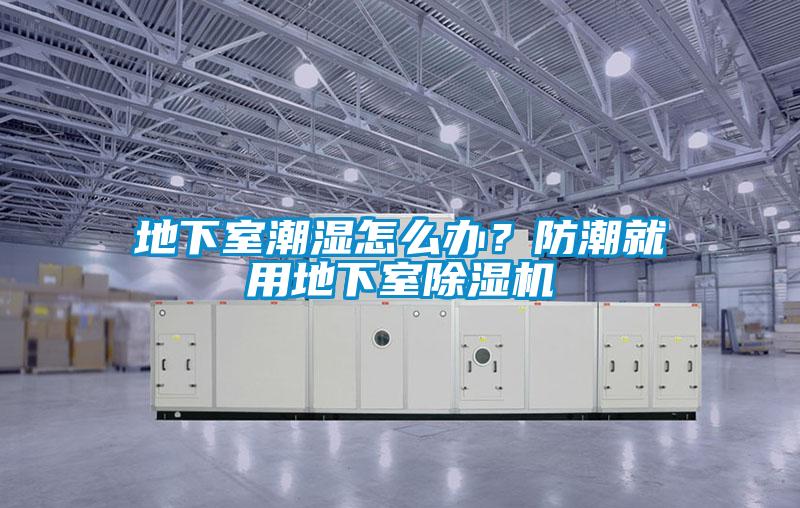 地下室潮湿怎么办？防潮就用地下室粉色视频免费在线观看