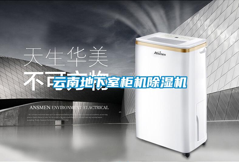云南地下室柜机粉色视频免费在线观看