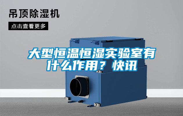 大型恒温恒湿实验室有什么作用？快讯