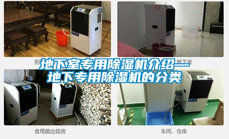 地下室专用粉色视频免费在线观看介绍—地下专用粉色视频免费在线观看的分类
