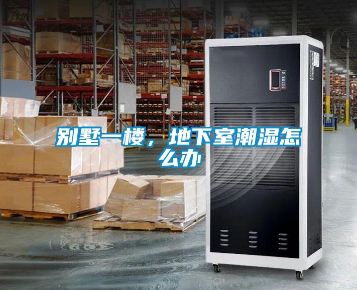 别墅一楼，地下室潮湿怎么办