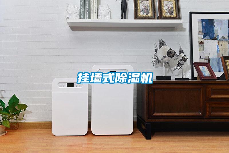 挂墙式粉色视频免费在线观看