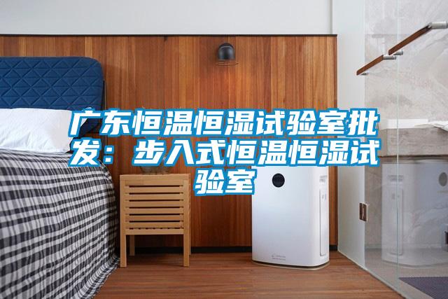 广东恒温恒湿试验室批发：步入式恒温恒湿试验室