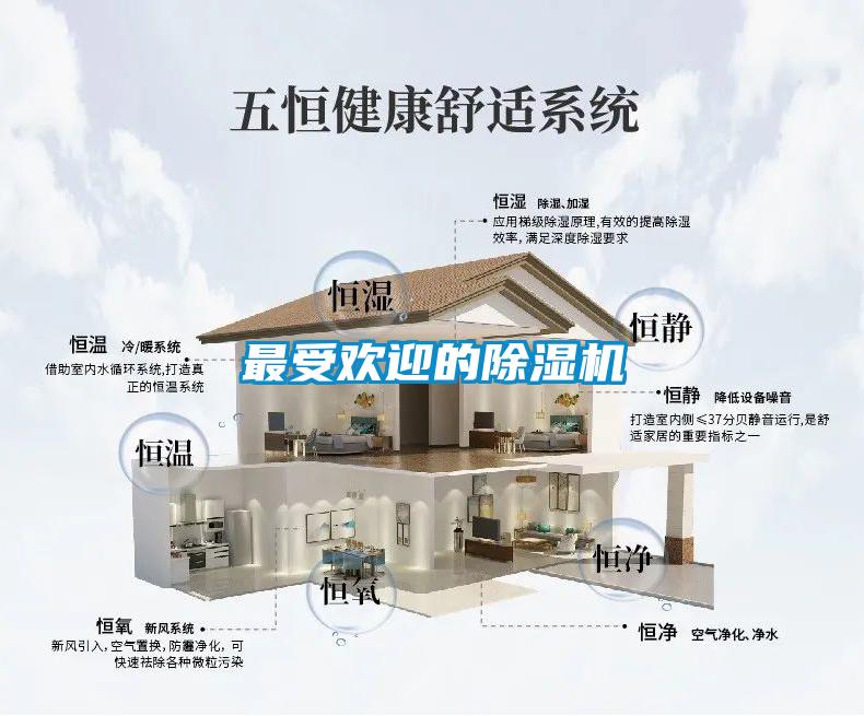 最受欢迎的粉色视频免费在线观看