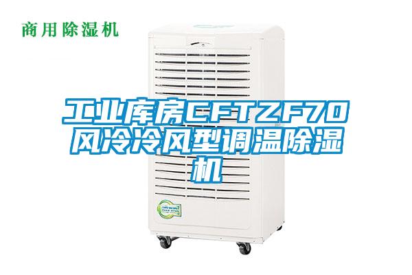 工业库房CFTZF70风冷冷风型调温粉色视频免费在线观看