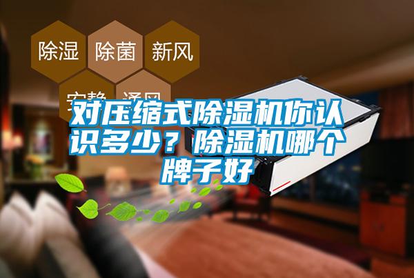 对压缩式粉色视频免费在线观看你认识多少？粉色视频免费在线观看哪个牌子好