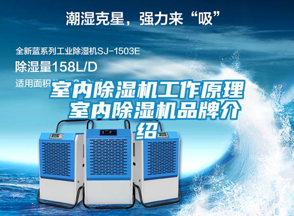 室内粉色视频免费在线观看工作原理 室内粉色视频免费在线观看品牌介绍
