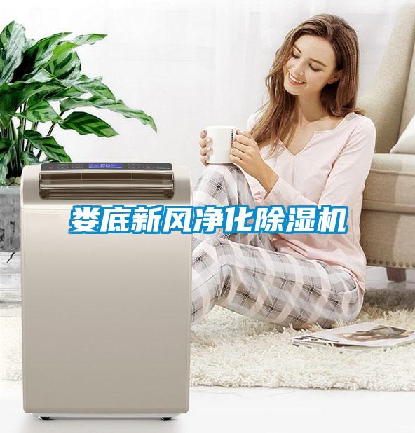 娄底新风净化粉色视频免费在线观看