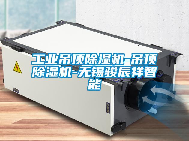 工业吊顶粉色视频免费在线观看-吊顶粉色视频免费在线观看-无锡骏辰祥智能