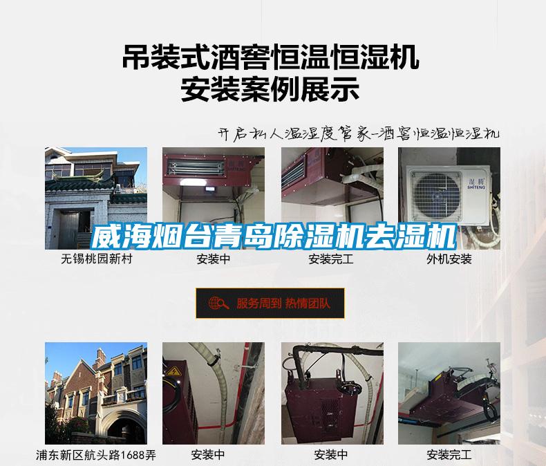威海烟台青岛粉色视频免费在线观看去湿机