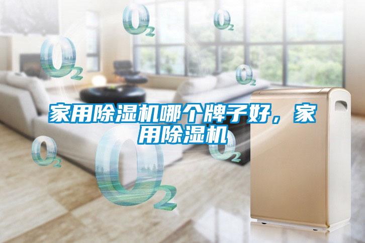 家用粉色视频免费在线观看哪个牌子好，家用粉色视频免费在线观看