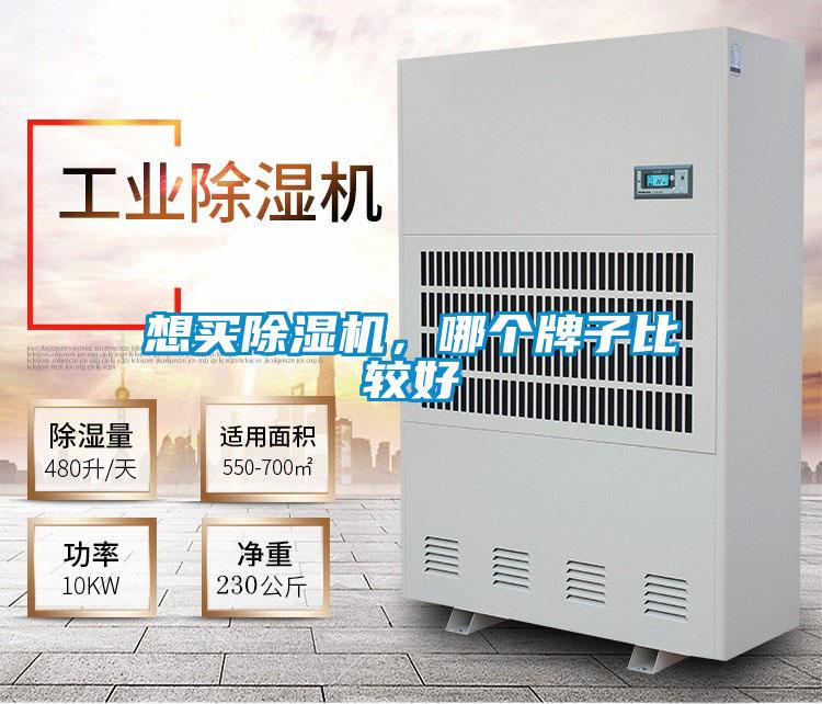 想买粉色视频免费在线观看，哪个牌子比较好