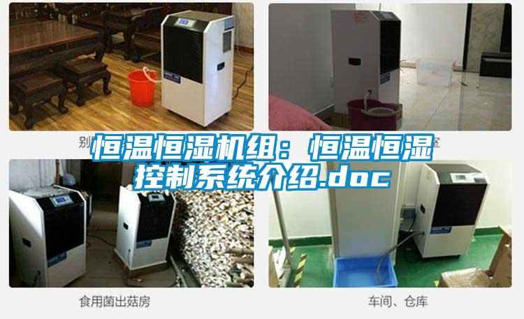 恒温恒湿机组：恒温恒湿控制系统介绍.doc