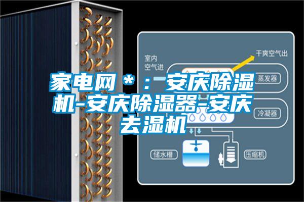 家电网＊：安庆粉色视频免费在线观看-安庆除湿器-安庆去湿机