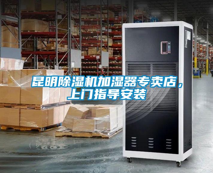 昆明粉色视频免费在线观看加湿器专卖店，上门指导安装