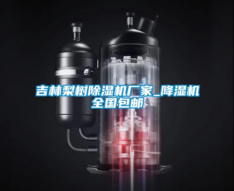 吉林梨树粉色视频免费在线观看厂家_降湿机全国包邮
