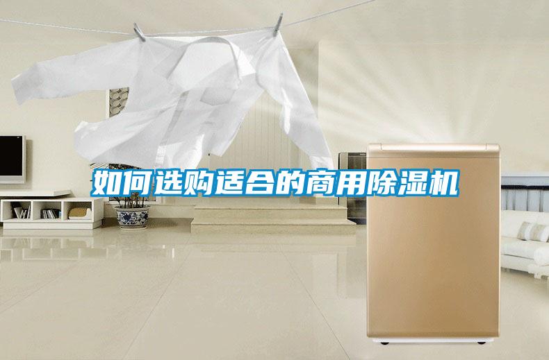 如何选购适合的商用粉色视频免费在线观看