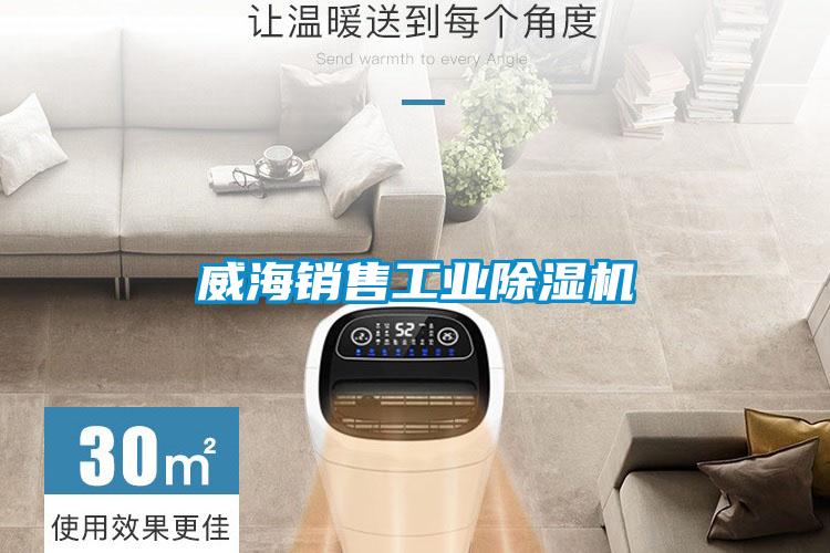 威海销售工业粉色视频免费在线观看