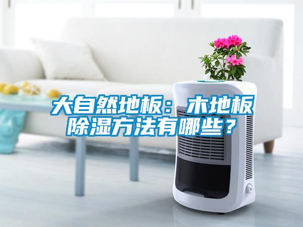 大自然地板：木地板除湿方法有哪些？