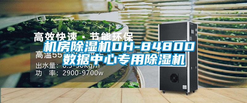 机房粉色视频免费在线观看DH-8480D 数据中心专用粉色视频免费在线观看