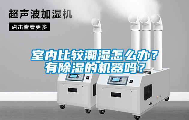 室内比较潮湿怎么办？有除湿的机器吗？