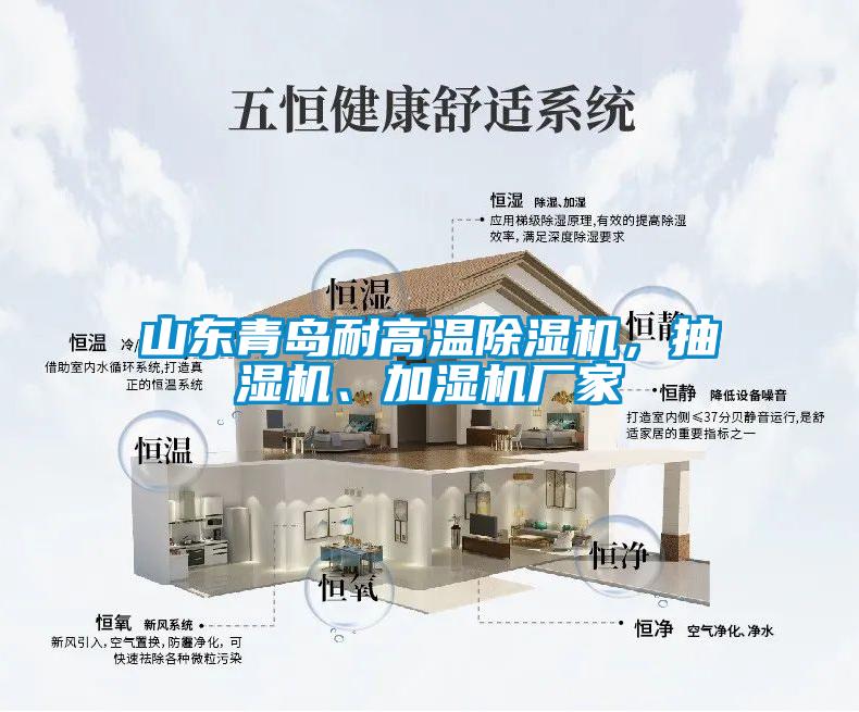 山东青岛耐高温粉色视频免费在线观看，抽湿机、加湿机厂家