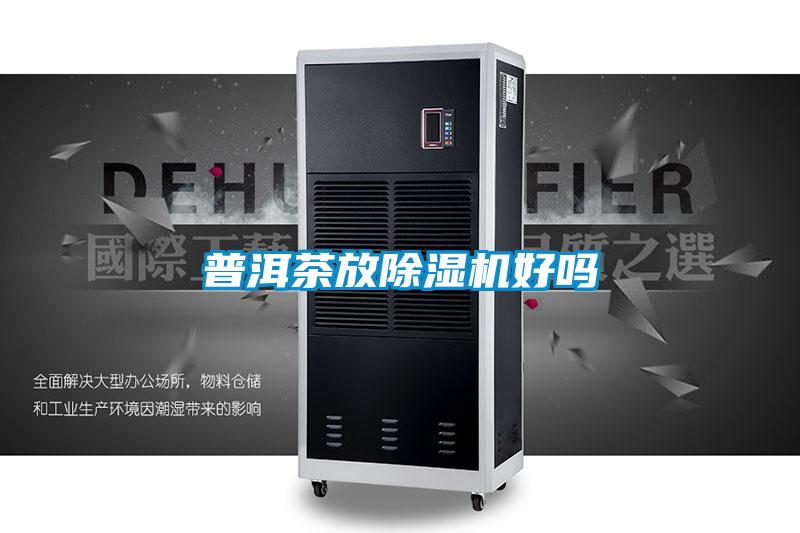 普洱茶放粉色视频免费在线观看好吗