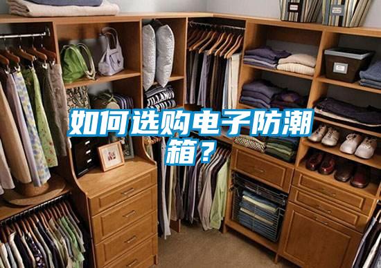 如何选购电子防潮箱？