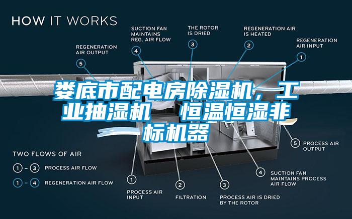 娄底市配电房粉色视频免费在线观看，工业抽湿机  恒温恒湿非标机器