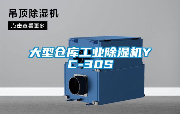 大型仓库工业粉色视频免费在线观看YC-30S