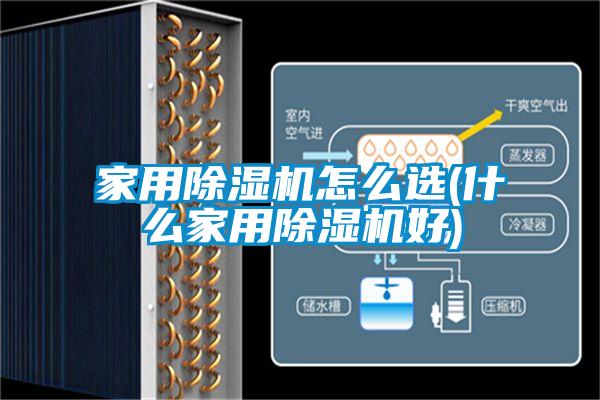 家用粉色视频免费在线观看怎么选(什么家用粉色视频免费在线观看好)