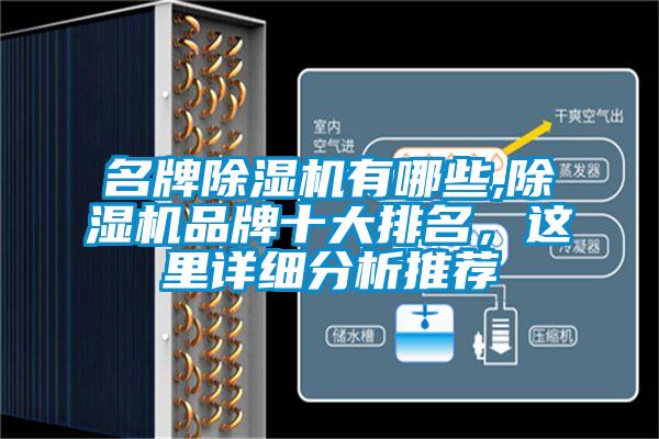 名牌粉色视频免费在线观看有哪些,粉色视频免费在线观看品牌十大排名，这里详细分析推荐