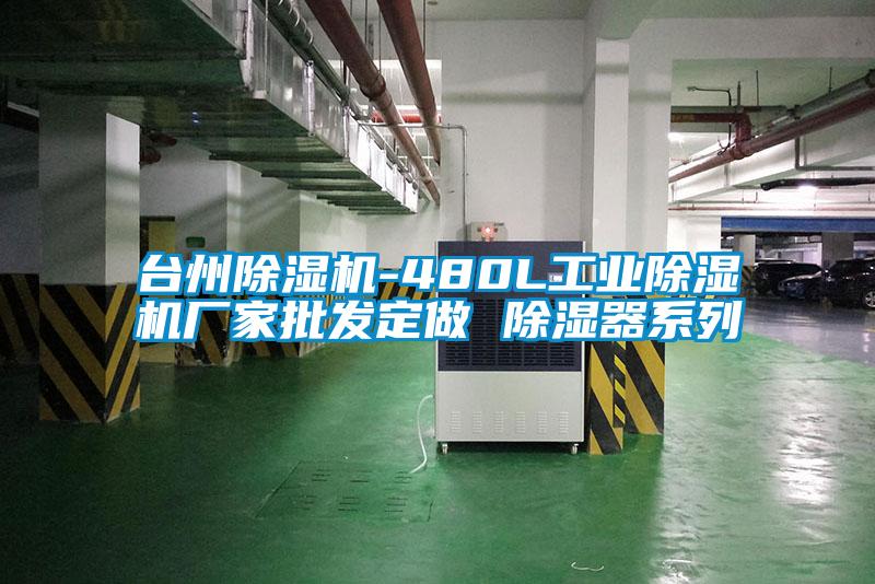 台州粉色视频免费在线观看-480L工业粉色视频免费在线观看厂家批发定做 除湿器系列