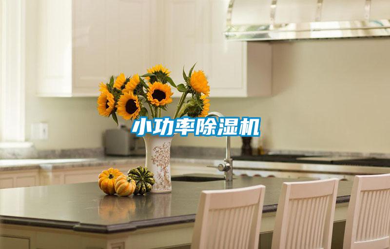 小功率粉色视频免费在线观看