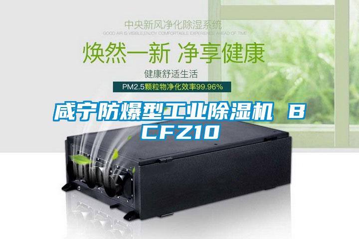 咸宁防爆型工业粉色视频免费在线观看 BCFZ10