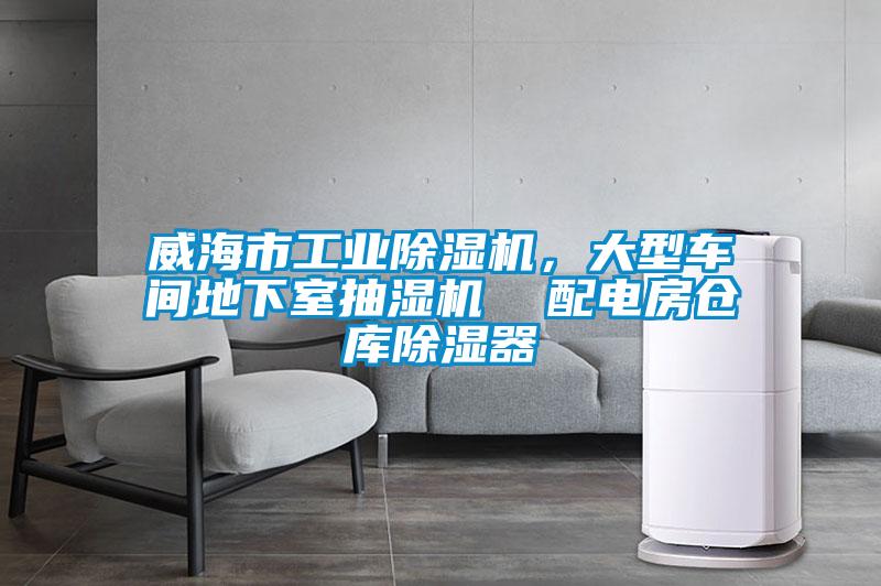 威海市工业粉色视频免费在线观看，大型车间地下室抽湿机  配电房仓库除湿器