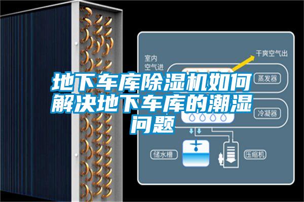 地下车库粉色视频免费在线观看如何解决地下车库的潮湿问题