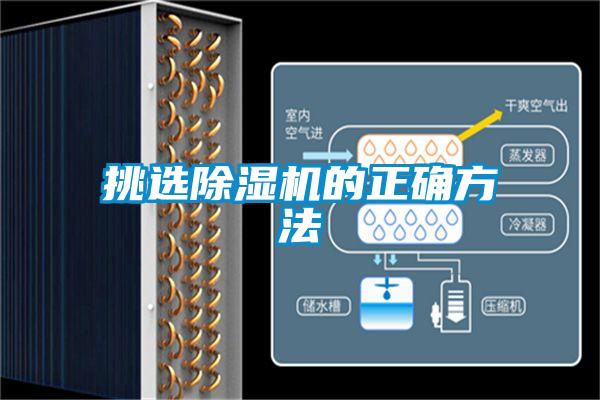 挑选粉色视频免费在线观看的正确方法
