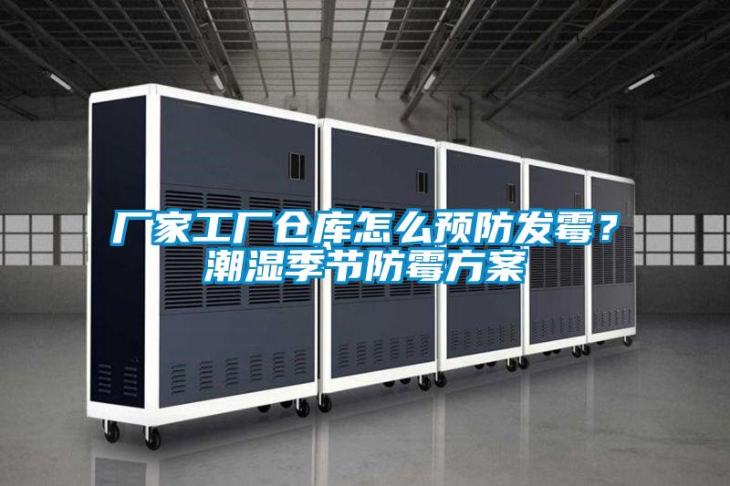 厂家工厂仓库怎么预防发霉？潮湿季节防霉方案