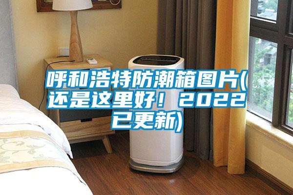 呼和浩特防潮箱图片(还是这里好！2022已更新)