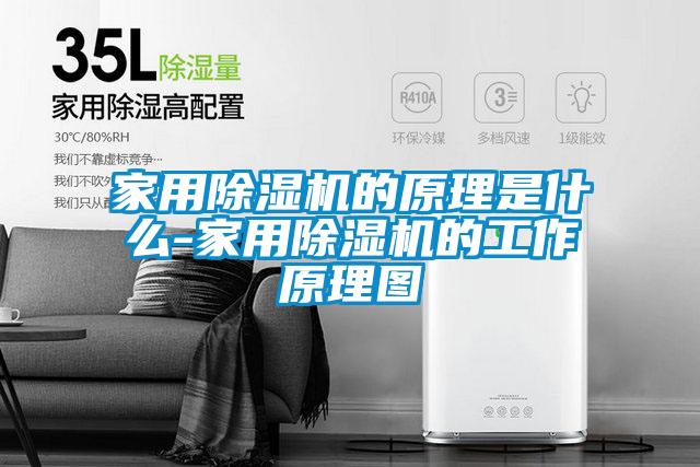 家用粉色视频免费在线观看的原理是什么-家用粉色视频免费在线观看的工作原理图