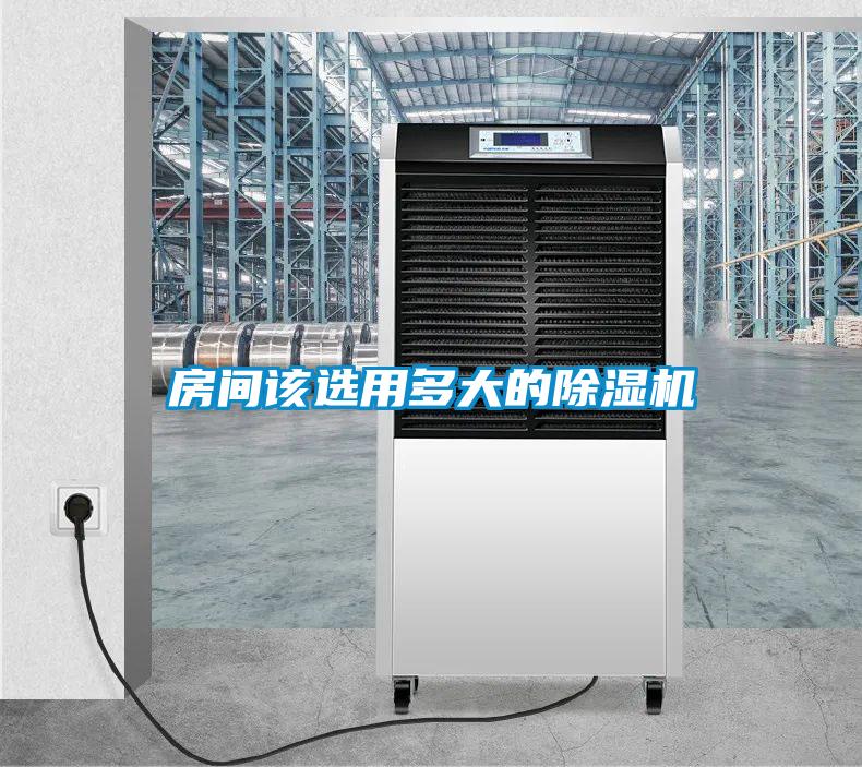 房间该选用多大的粉色视频免费在线观看