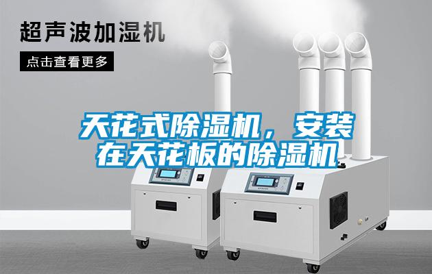 天花式粉色视频免费在线观看，安装在天花板的粉色视频免费在线观看