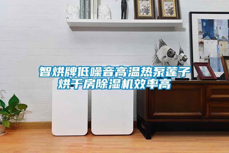 智烘牌低噪音高温热泵莲子烘干房粉色视频免费在线观看效率高
