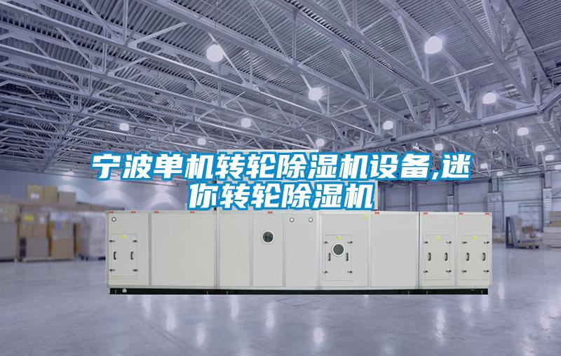 宁波单机转轮粉色视频免费在线观看设备,迷你转轮粉色视频免费在线观看