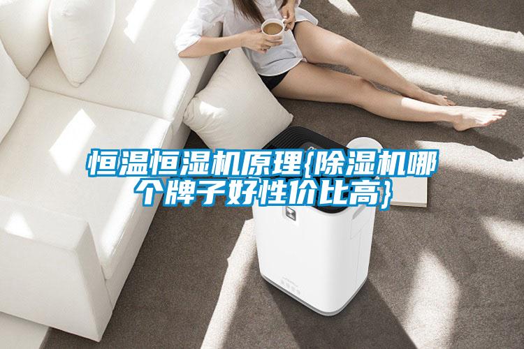 恒温恒湿机原理{粉色视频免费在线观看哪个牌子好性价比高}