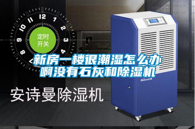 新房一楼很潮湿怎么办啊没有石灰和粉色视频免费在线观看