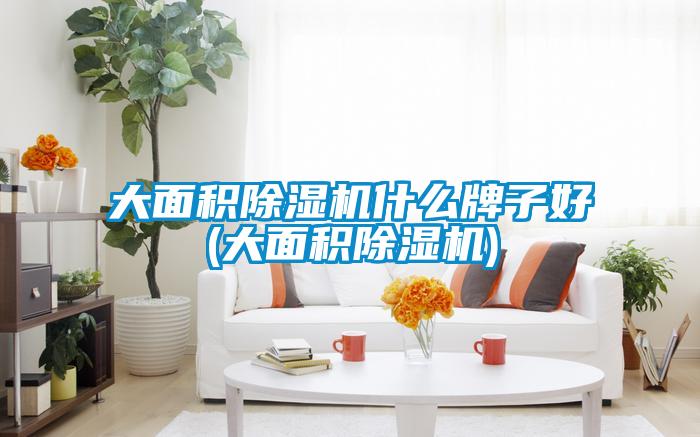 大面积粉色视频免费在线观看什么牌子好(大面积粉色视频免费在线观看)