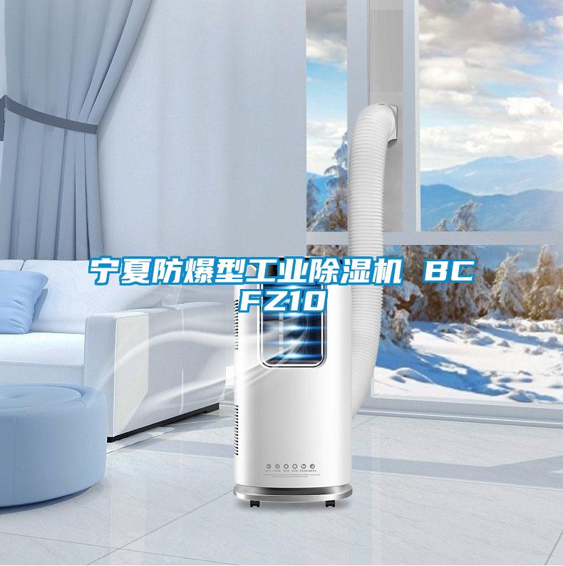 宁夏防爆型工业粉色视频免费在线观看 BCFZ10